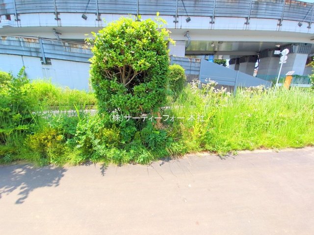 撮影日(2025-06-19 00:00:00)