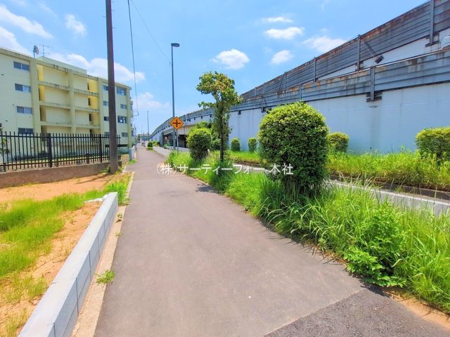 撮影日(2025-06-19 00:00:00)