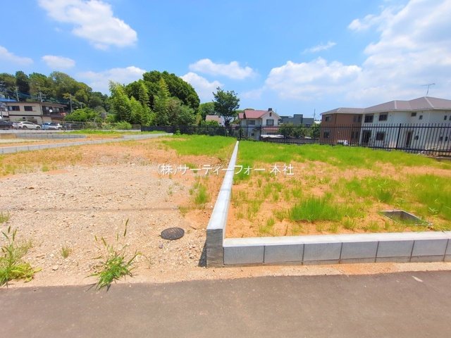 撮影日(2025-06-19 00:00:00)