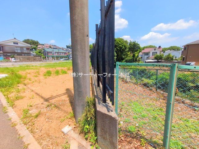 撮影日(2025-06-19 00:00:00)