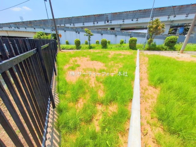 撮影日(2025-06-19 00:00:00)
