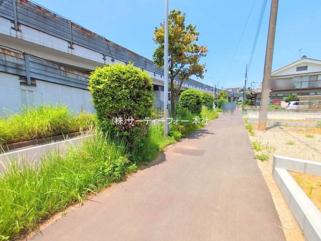 撮影日(2025-06-19 00:00:00)