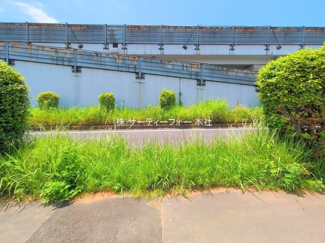 撮影日(2025-06-19 00:00:00)