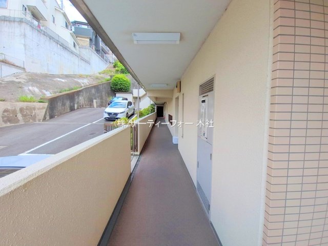 撮影日(2025-06-18 00:00:00)