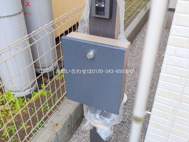 撮影日(2025-06-25 00:00:00)