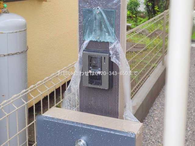 撮影日(2025-06-25 00:00:00)