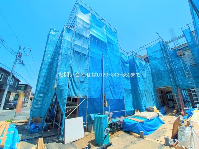 撮影日(2025-06-17 00:00:00)