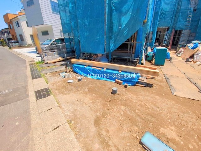 撮影日(2025-06-17 00:00:00)