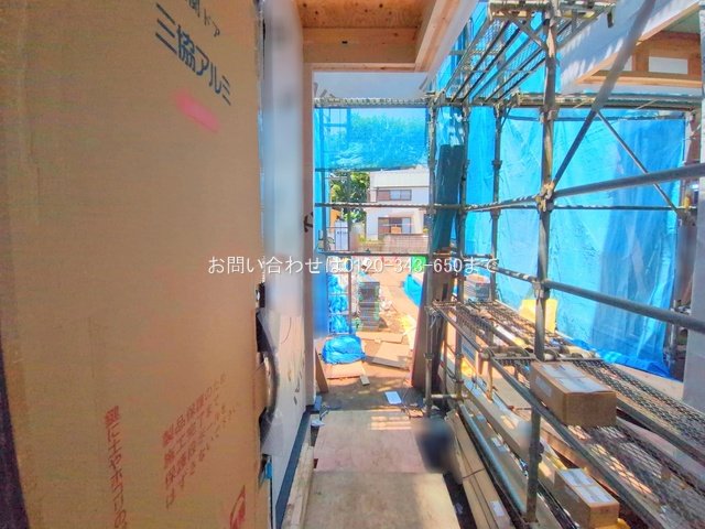 撮影日(2025-06-17 00:00:00)