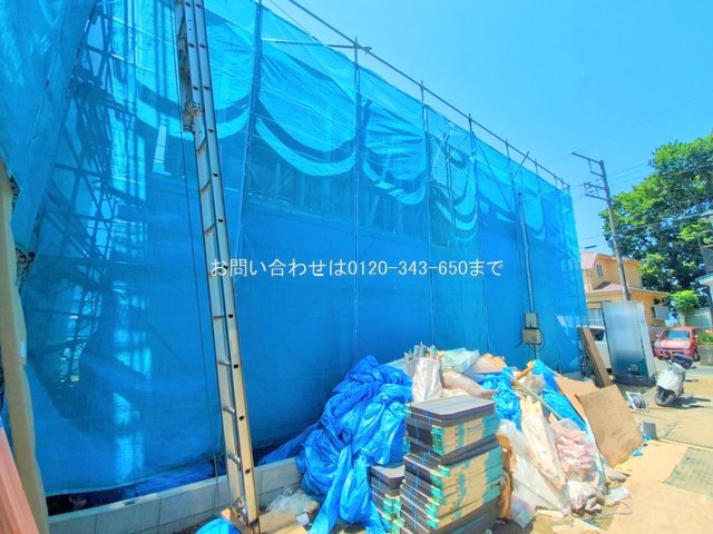 撮影日(2025-06-17 00:00:00)