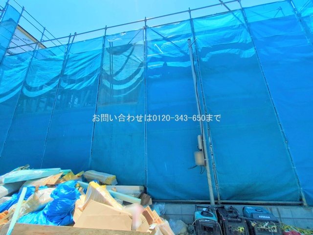撮影日(2025-06-17 00:00:00)