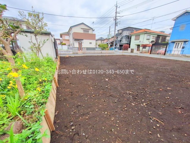 撮影日(2025-04-11 00:00:00)