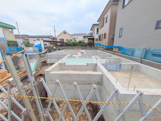 撮影日(2025-06-13 00:00:00)
