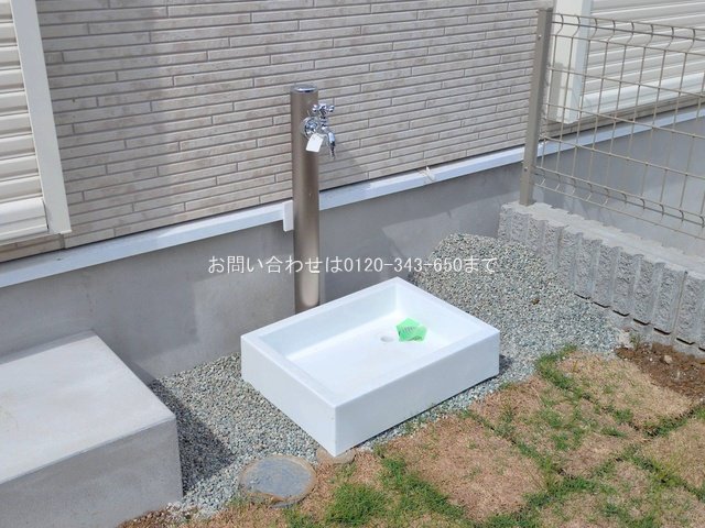 撮影日(2025-06-23 00:00:00)