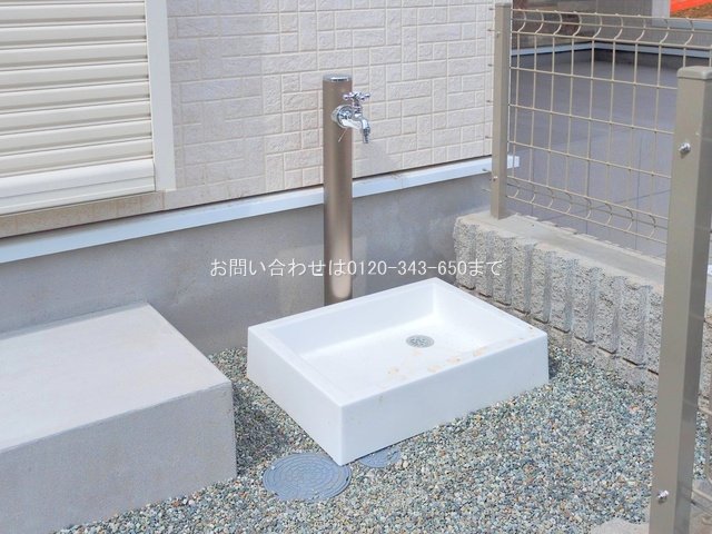 撮影日(2025-06-23 00:00:00)