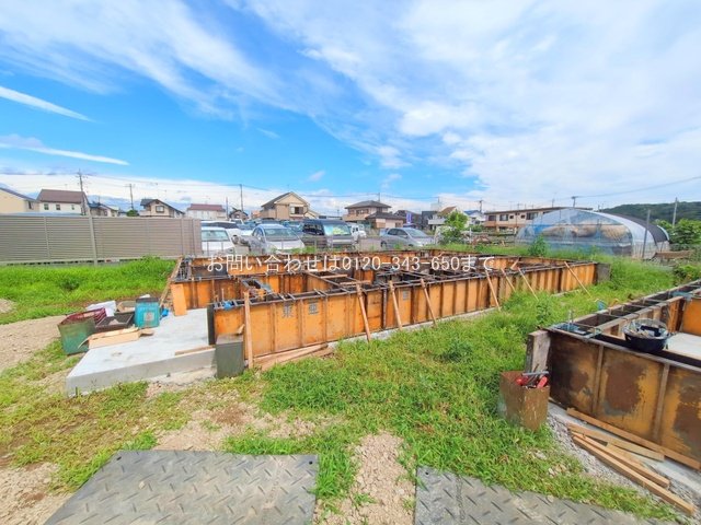 撮影日(2025-06-23 00:00:00)