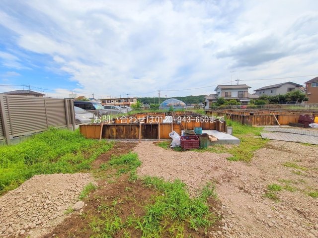 撮影日(2025-06-23 00:00:00)