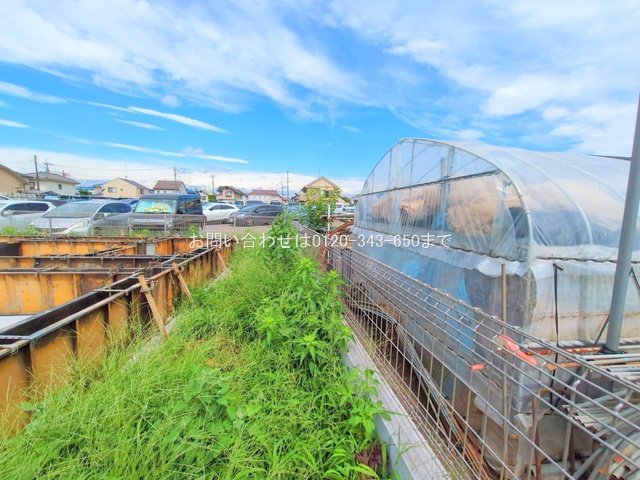 撮影日(2025-06-23 00:00:00)
