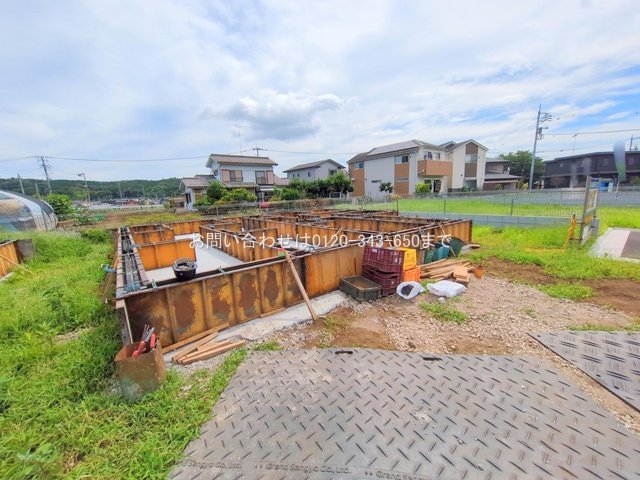 撮影日(2025-06-23 00:00:00)
