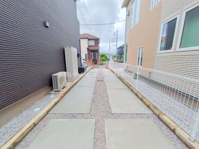 撮影日(2025-06-25 00:00:00)