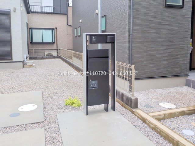 撮影日(2025-06-25 00:00:00)