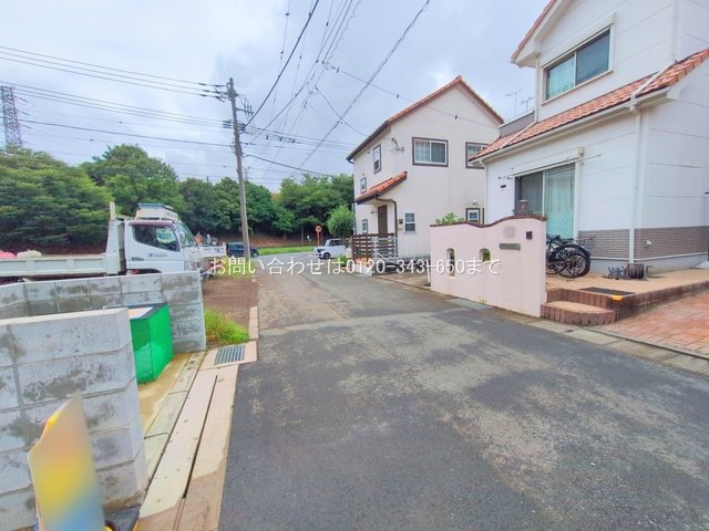 撮影日(2025-06-25 00:00:00)