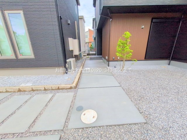 撮影日(2025-06-25 00:00:00)