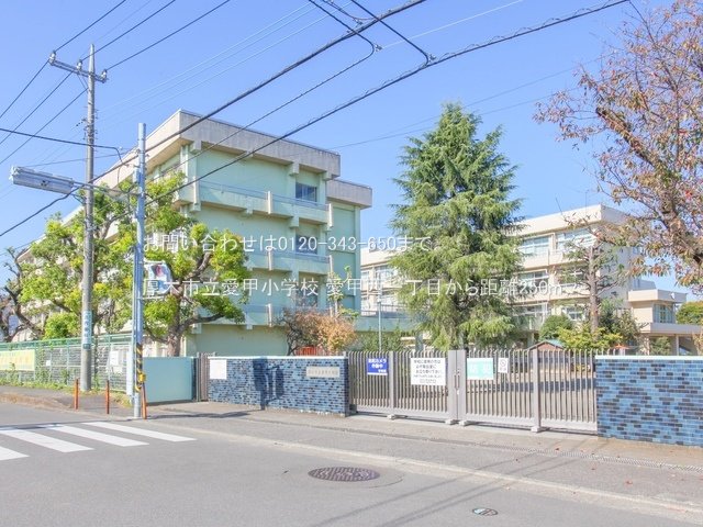 厚木市立愛甲小学校 撮影日(2022-11-04) 250m
