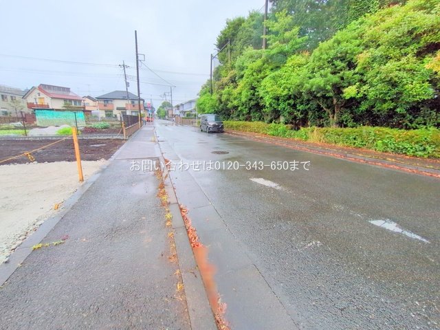 撮影日(2025-06-25 00:00:00)
