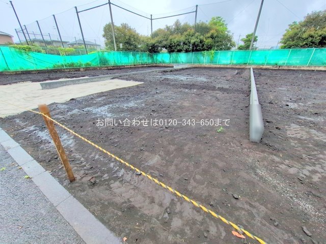 撮影日(2025-06-25 00:00:00)