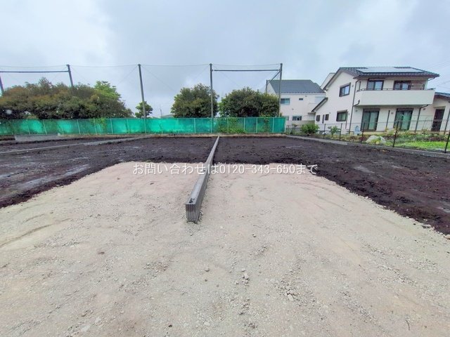 撮影日(2025-06-25 00:00:00)