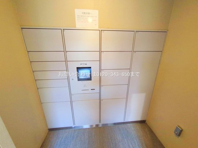 撮影日(2025-06-16 00:00:00)