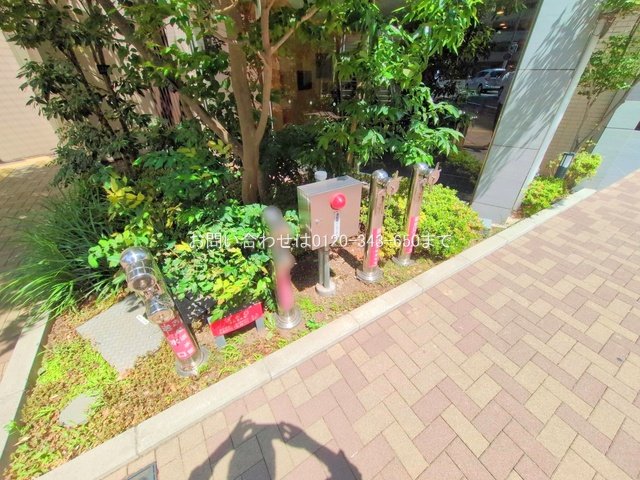 撮影日(2025-06-16 00:00:00)