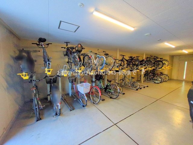 撮影日(2025-06-16 00:00:00)