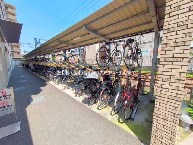 撮影日(2025-06-16 00:00:00)