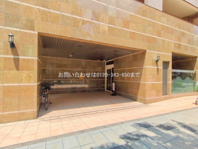 撮影日(2025-06-19 00:00:00)