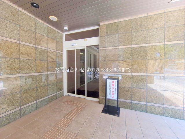 撮影日(2025-06-19 00:00:00)