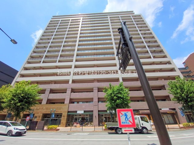 撮影日(2025-06-19 00:00:00)