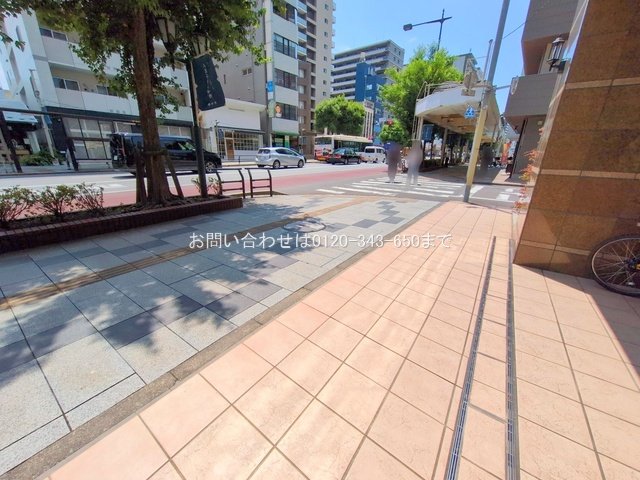 撮影日(2025-06-19 00:00:00)