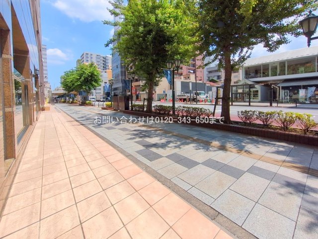 撮影日(2025-06-19 00:00:00)