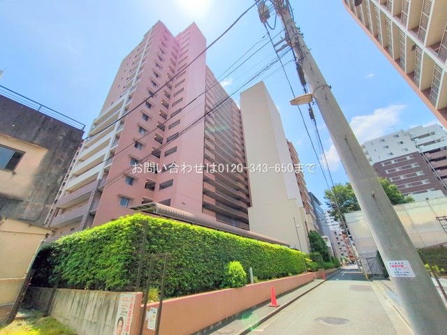 撮影日(2025-06-19 00:00:00)