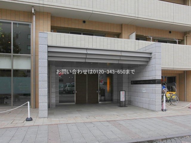 撮影日(2024-02-20 00:00:00)