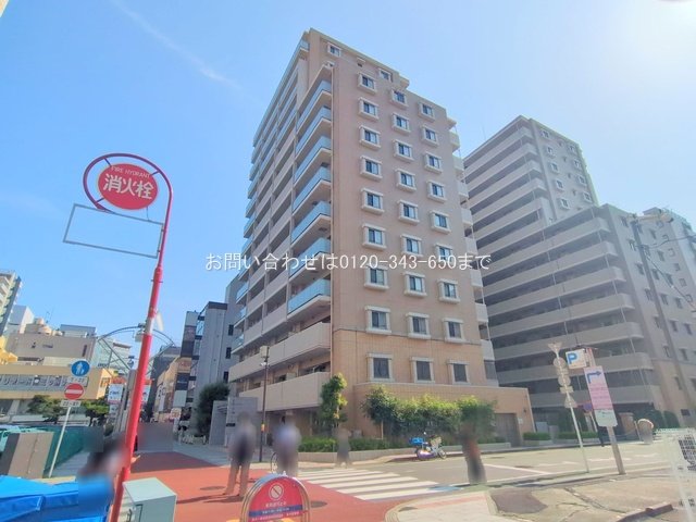 撮影日(2025-06-19 00:00:00)