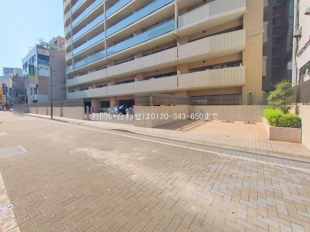 撮影日(2025-06-19 00:00:00)