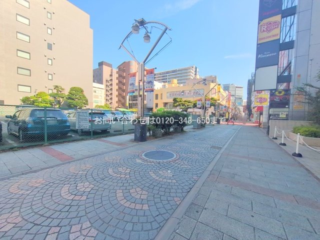 撮影日(2025-06-19 00:00:00)