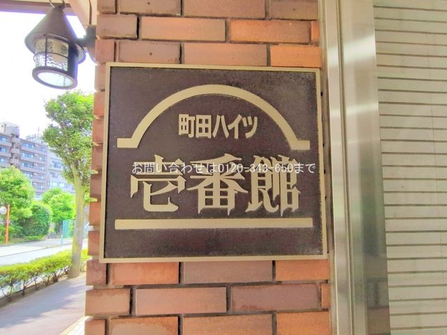 撮影日(2025-06-23 00:00:00)