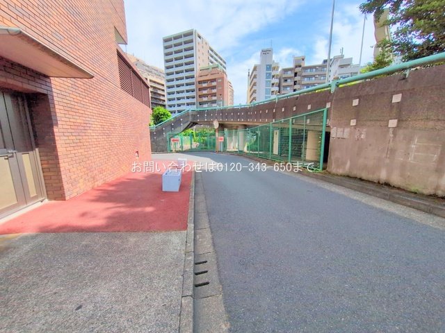 撮影日(2025-06-23 00:00:00)