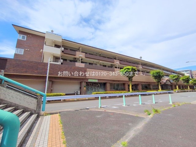 撮影日(2025-06-23 00:00:00)