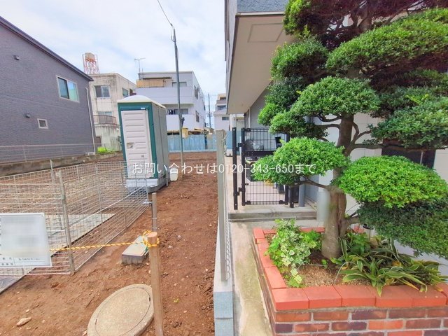 撮影日(2025-06-26 00:00:00)