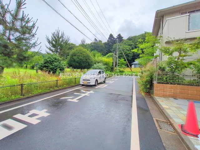 撮影日(2025-06-25 00:00:00)